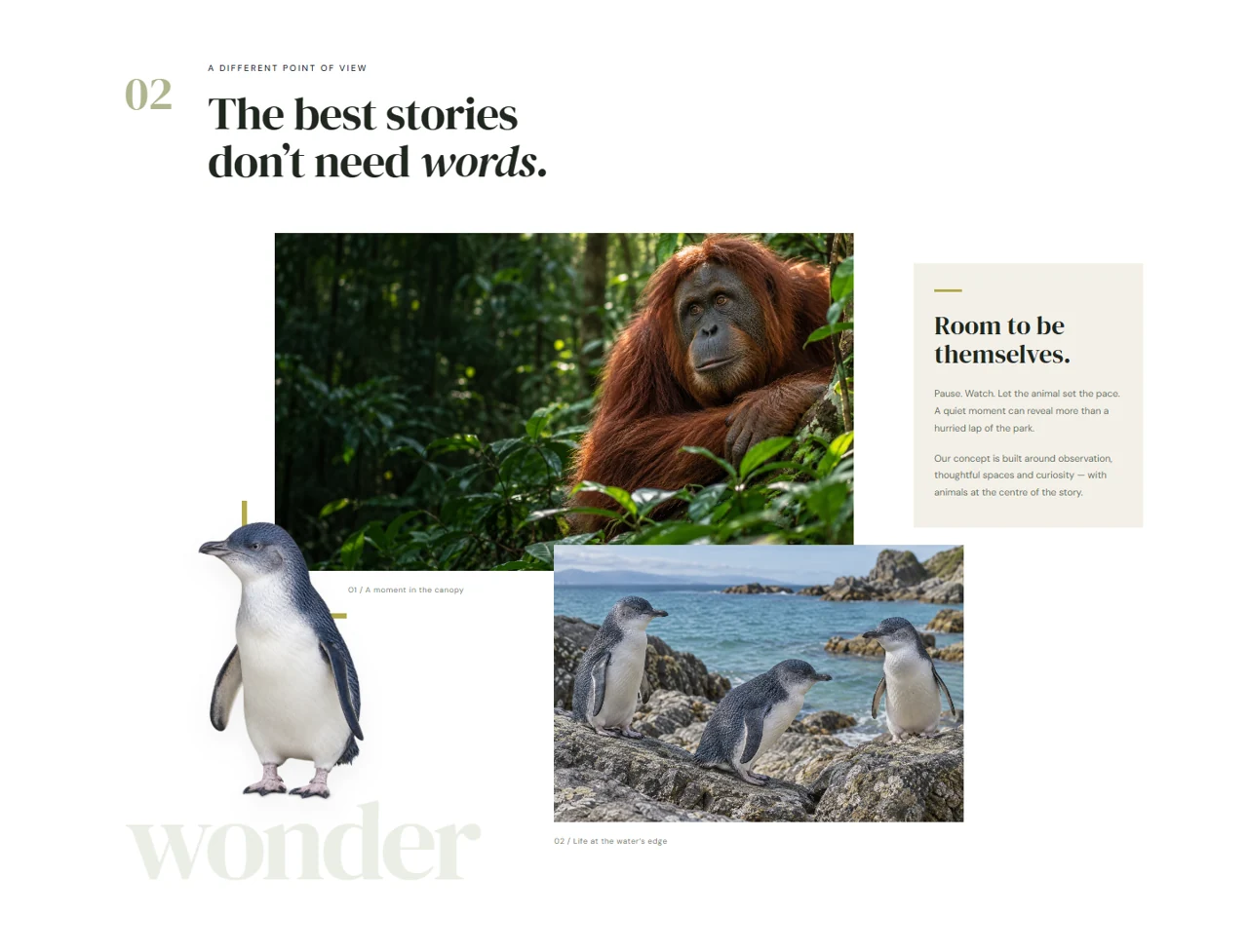 Fernhaven: A gallery with room to wander