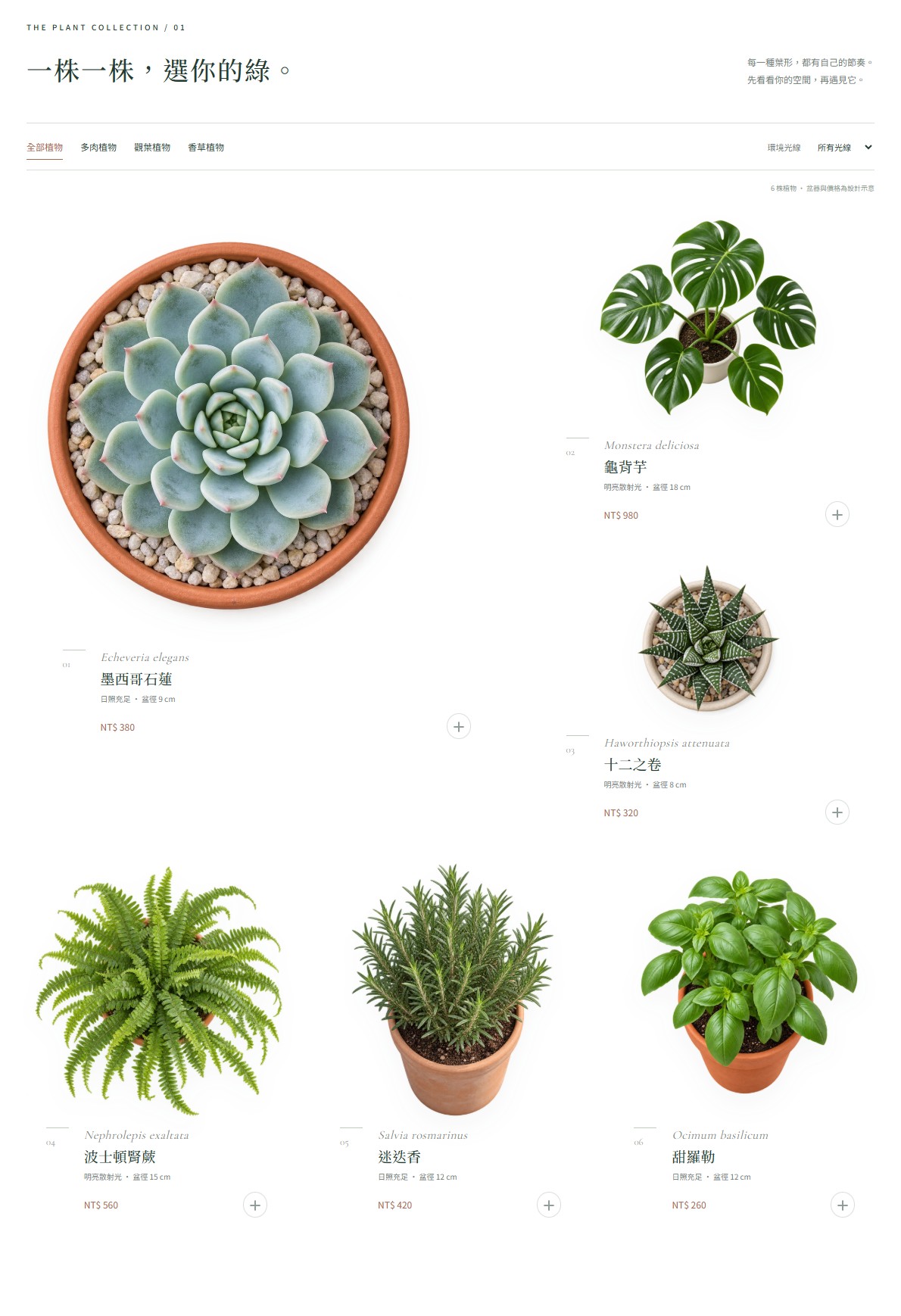 Asymmetric flatlay plant catalogue